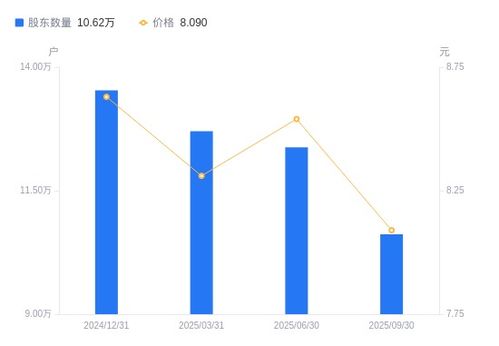 大唐電信股東結(jié)構(gòu)優(yōu)化，網(wǎng)絡(luò)與信息安全軟件開發(fā)成業(yè)務(wù)重點
